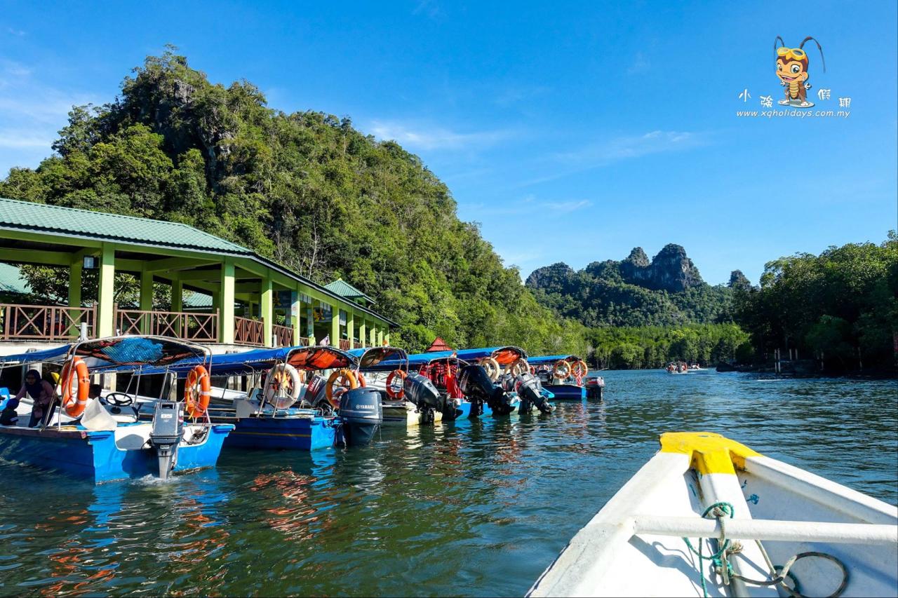 Jelajahi Ekosistem Pesisir Langkawi dalam Tur Mangrove yang Menawan